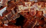 Ruby Red Vanadinite Crystals From Morocco - Large Crystals #61108-3